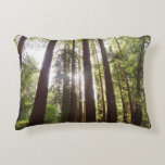 Up to Redwoods in the Morning Accent Pillow