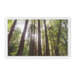 Up to Redwoods in the Morning Acrylic Tray