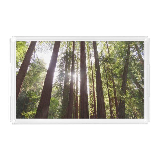 Up to Redwoods in the Morning Acrylic Tray (Front)