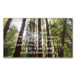 Up to Redwoods in the Morning Business Card Magnet