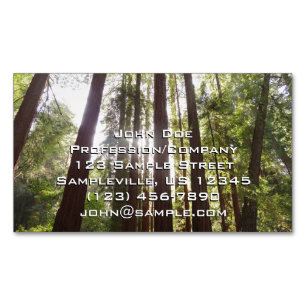 Up to Redwoods in the Morning Business Card Magnet