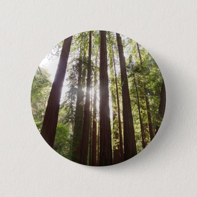 Up to Redwoods in the Morning Button (Front)