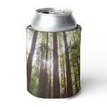 Up to Redwoods in the Morning Can Cooler