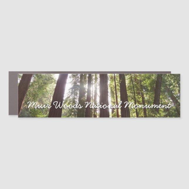 Up to Redwoods in the Morning Car Magnet (Front)