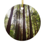 Up to Redwoods in the Morning Ceramic Ornament