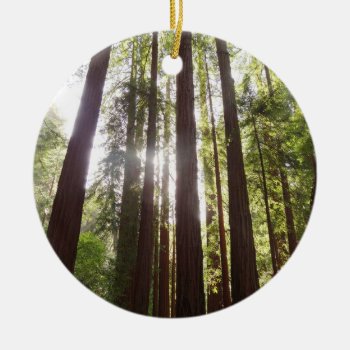 Up To Redwoods In The Morning Ceramic Ornament by mlewallpapers at Zazzle