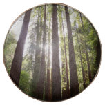 Up to Redwoods in the Morning Chocolate Covered Oreo