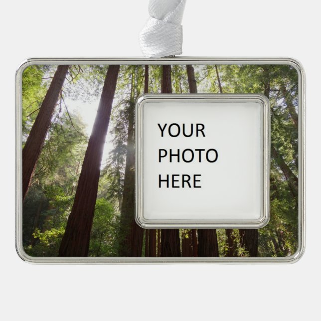 Up to Redwoods in the Morning Christmas Ornament (Front)