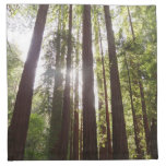 Up to Redwoods in the Morning Cloth Napkin