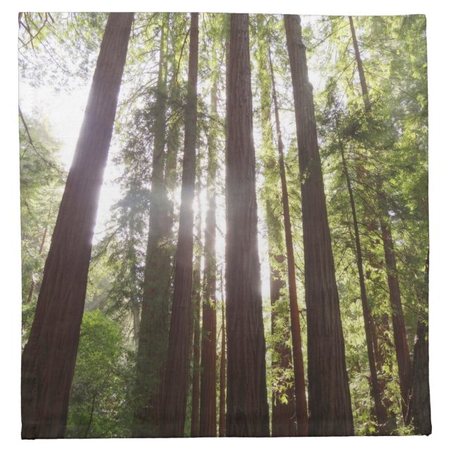 Up to Redwoods in the Morning Cloth Napkin (Front)