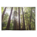 Up to Redwoods in the Morning Cloth Placemat