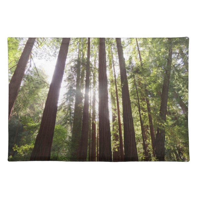 Up to Redwoods in the Morning Cloth Placemat (Front)
