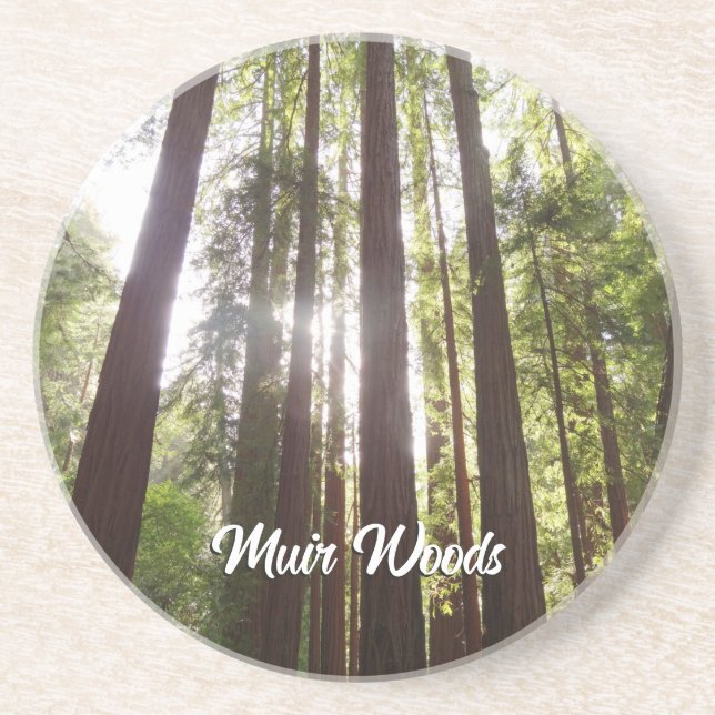Up to Redwoods in the Morning Coaster (Front)