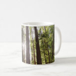 Up to Redwoods in the Morning Coffee Mug