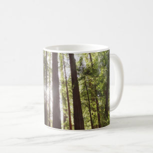 Up to Redwoods in the Morning Coffee Mug