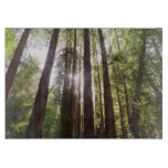 Up to Redwoods in the Morning Cutting Board