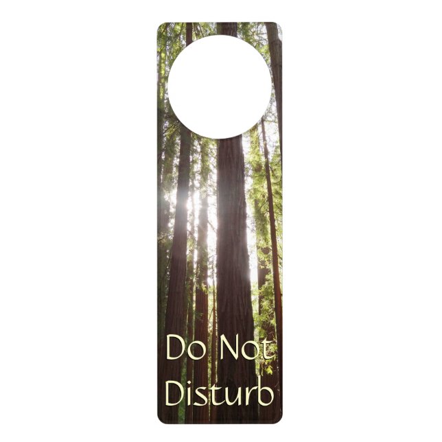 Up to Redwoods in the Morning Door Hanger (Front)