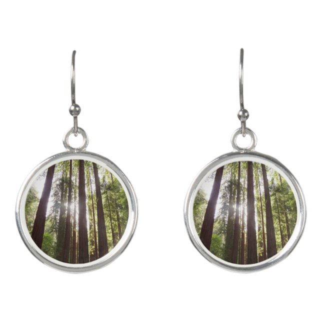 Up to Redwoods in the Morning Earrings (Front)