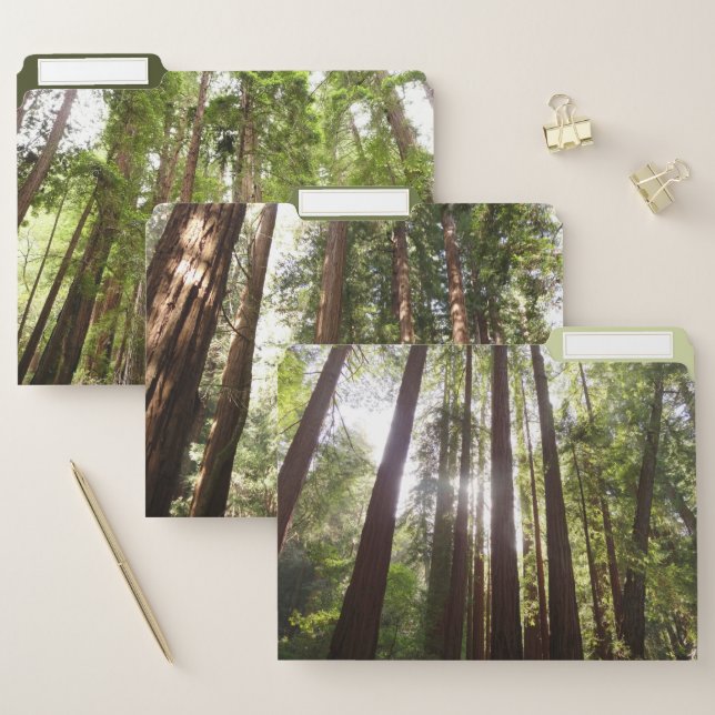 Up to Redwoods in the Morning File Folder (Set)