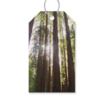 Up to Redwoods in the Morning Gift Tags