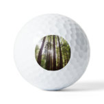 Up to Redwoods in the Morning Golf Balls