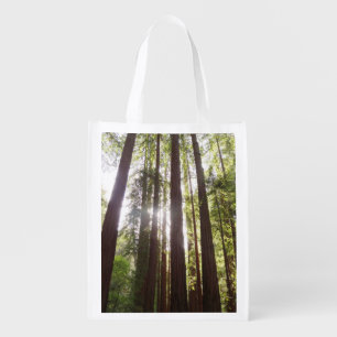 Up to Redwoods in the Morning Grocery Bag