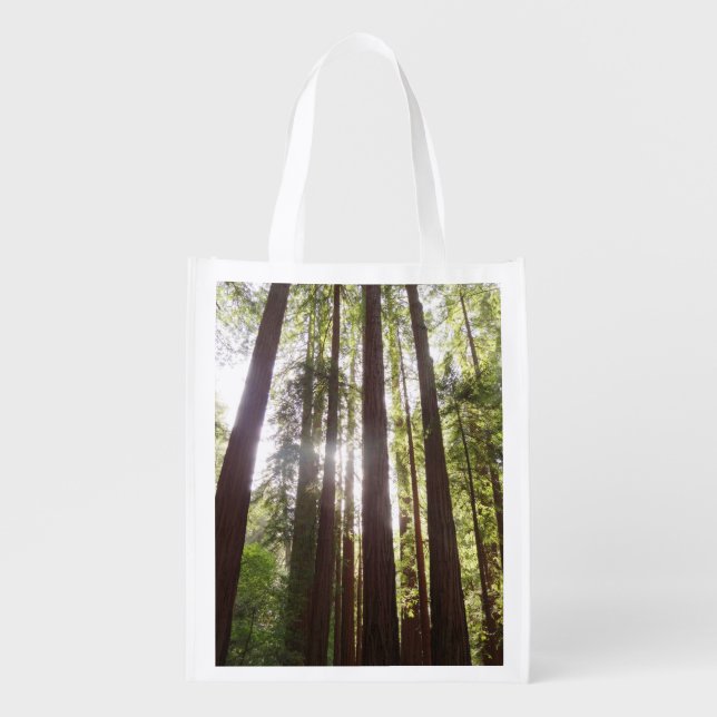 Up to Redwoods in the Morning Grocery Bag (Front)