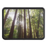 Up to Redwoods in the Morning Hitch Cover