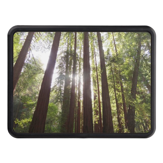 Up to Redwoods in the Morning Hitch Cover (Front)