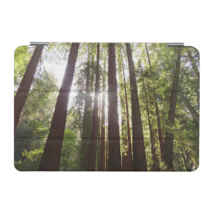 Up to Redwoods in the Morning iPad Mini Cover