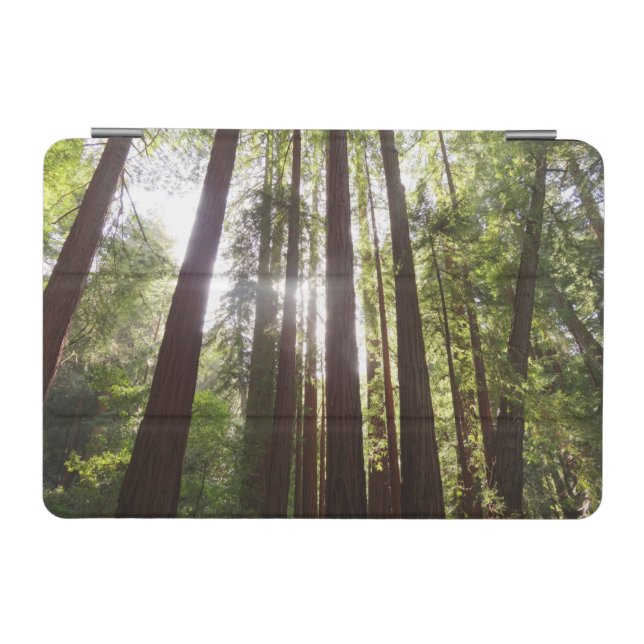 Up to Redwoods in the Morning iPad Mini Cover (Horizontal)