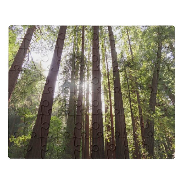 Up to Redwoods in the Morning Jigsaw Puzzle (Puzzle Horizontal)