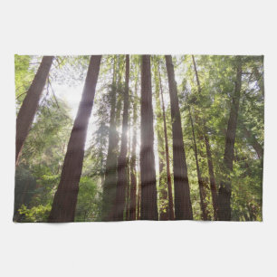 Up to Redwoods in the Morning Kitchen Towel