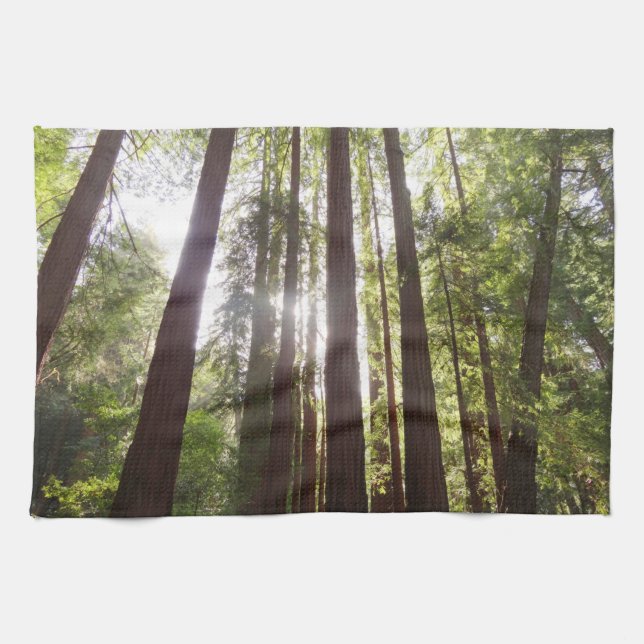 Up to Redwoods in the Morning Kitchen Towel (Horizontal)
