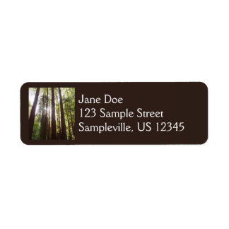 Up to Redwoods in the Morning Label