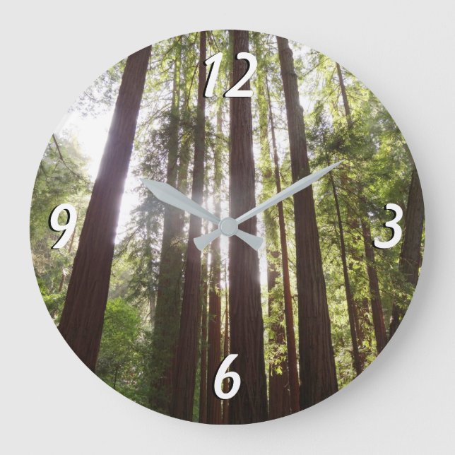 Up to Redwoods in the Morning Large Clock (Front)