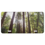 Up to Redwoods in the Morning License Plate