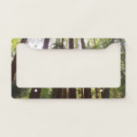Up to Redwoods in the Morning License Plate Frame