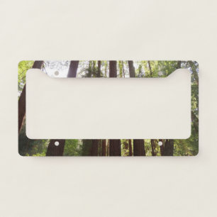 Up to Redwoods in the Morning License Plate Frame