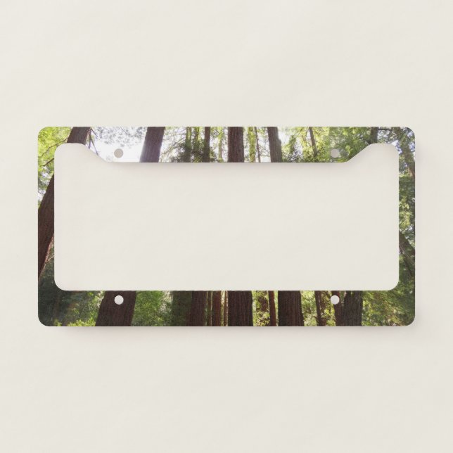 Up to Redwoods in the Morning License Plate Frame (Front)