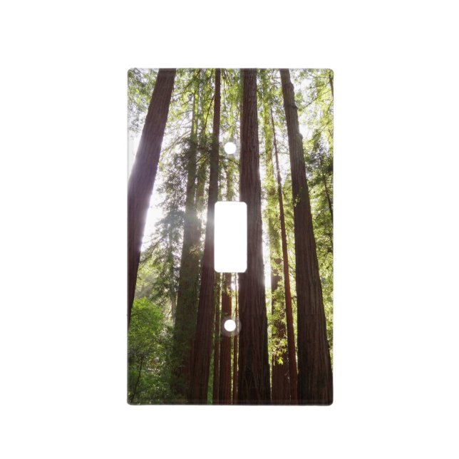 Up to Redwoods in the Morning Light Switch Cover (Front)