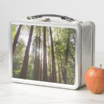 Up to Redwoods in the Morning Metal Lunch Box