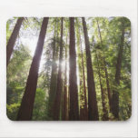 Up to Redwoods in the Morning Mouse Pad