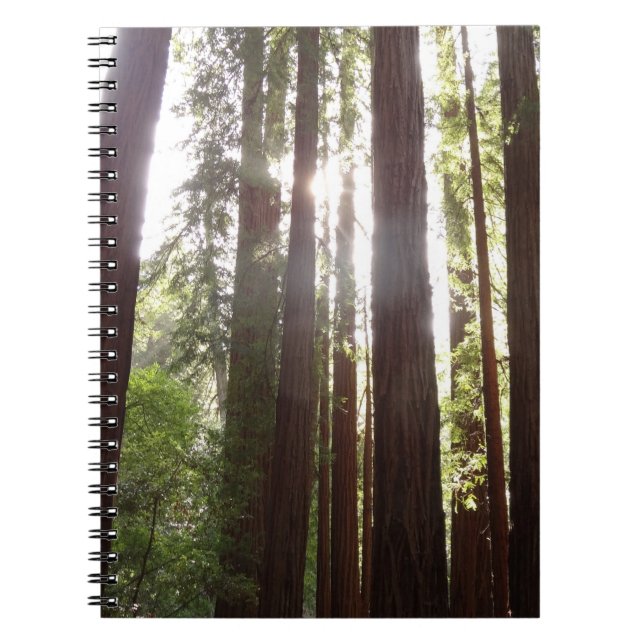 Up to Redwoods in the Morning Notebook (Front)