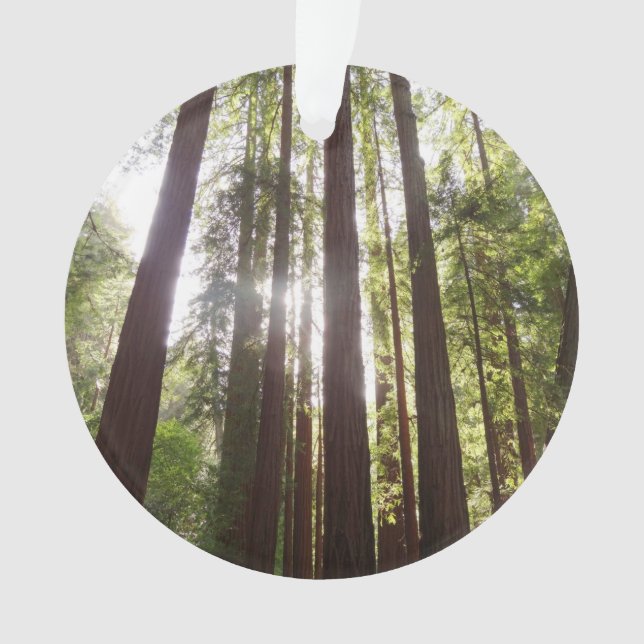 Up to Redwoods in the Morning Ornament (Front)