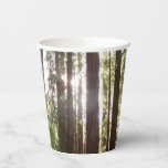 Up to Redwoods in the Morning Paper Cups