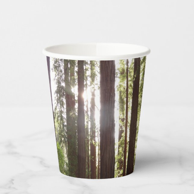 Up to Redwoods in the Morning Paper Cups (Left)