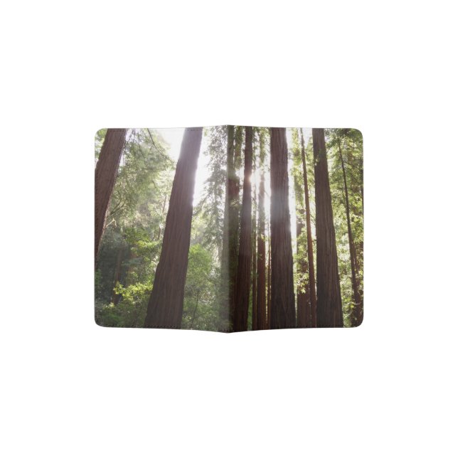 Up to Redwoods in the Morning Passport Holder (Opened)