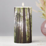Up to Redwoods in the Morning Pillar Candle
