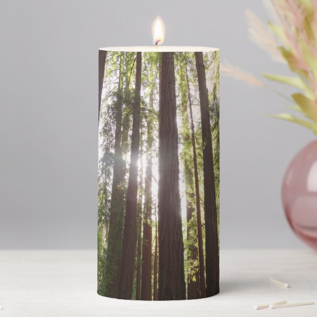 Up to Redwoods in the Morning Pillar Candle (In Situ)